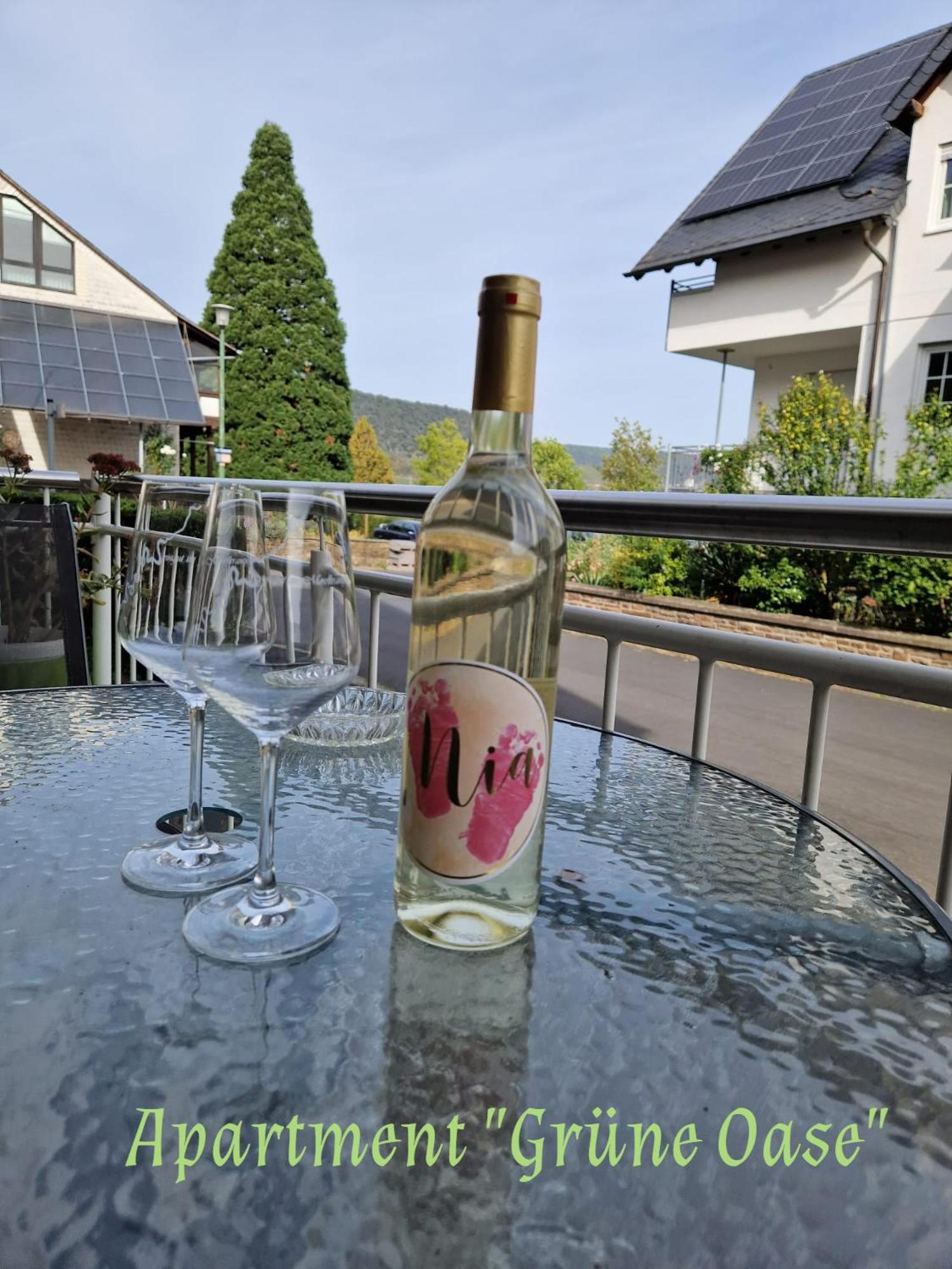 Apartamento Weingut Im Moselkrampen Ellenz-Poltersdorf Exterior foto